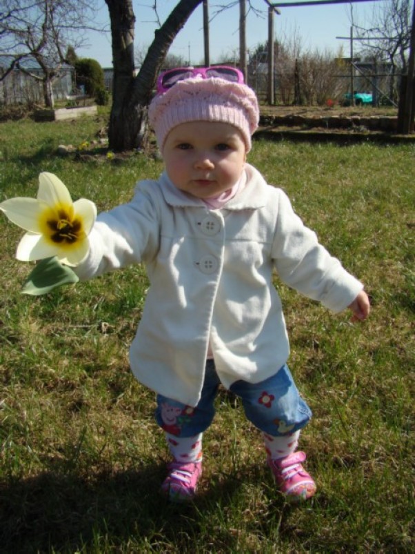 Zdjęcie zgłoszone na konkurs eBobas.pl Zosia i pierwszy tulipanek na naszej działce.