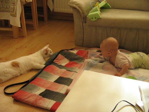 Amelka z Mańkiem Amelka już od malusiego próbowała złapać kotka :&#41;