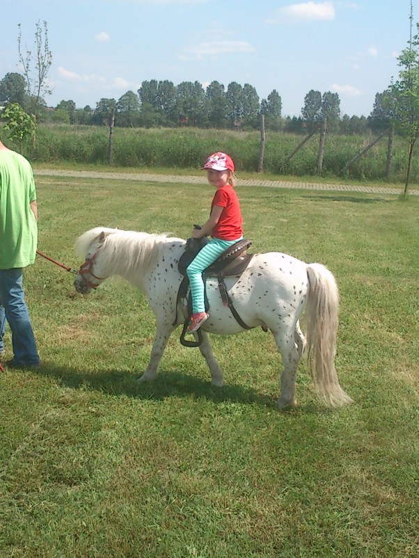 Zdjęcie zgłoszone na konkurs eBobas.pl \n\n\n\n\n\n\nuwielbiam    konie   dlatego    na   wakacjach   chce   sie   nauczyc   być   jezdzcem ihahahah