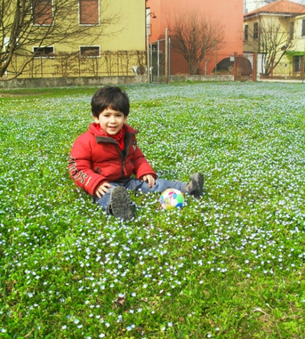 Omar wsrod kwiatuszkow wiosennych Omar na placu zabaw wsrod kwtatuszkow wiosennych 