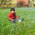 Omar wsrod kwiatuszkow wiosennych