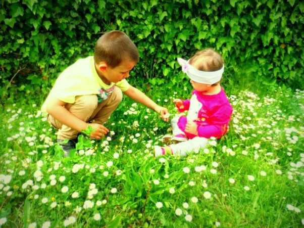 Zdjęcie zgłoszone na konkurs eBobas.pl kochamy kwiatki &lt;3