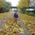 W naszym parku na jesieni,\nod kolorów aż się mieni.\nGubią liście lipy, klony,\ntu liść żółty, tam czerwony.